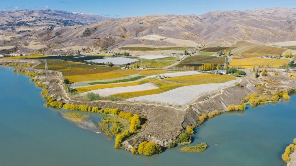 Carrick-Winery-Restaurant-Cuisine-Good-Food-Guide (1)