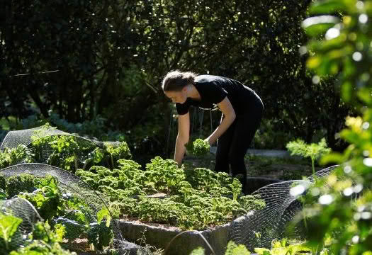 Cuisine Good Food Guide 2025 The Mussel Inn 5