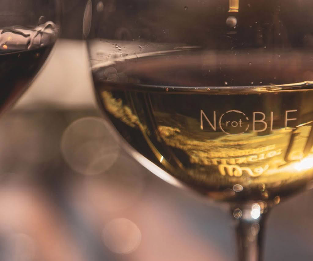 Noble-Rot-Cuisine-Good-Food-Guide-2024-1