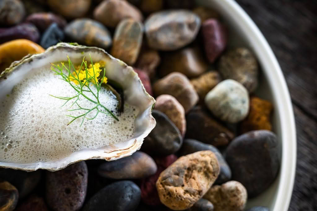 Sage-Paroa-Bay-Cuisine-Good-Food-Guide-2024-Oysters