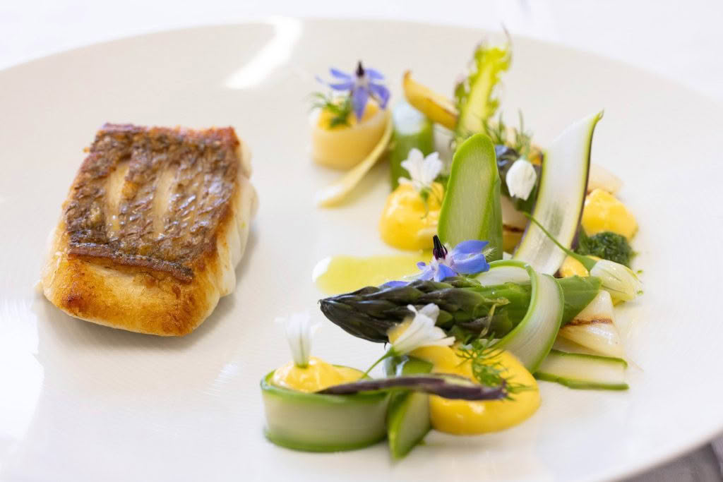 Camellia-Restaurant-Snapper-_-white-green-asparagus-_-hollandaise-2.jpg