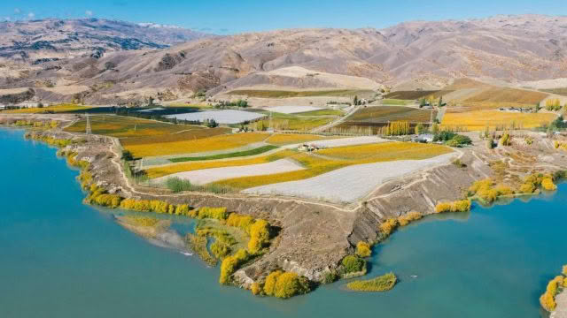 Carrick-Winery-Restaurant-Cuisine-Good-Food-Guide-1.jpg