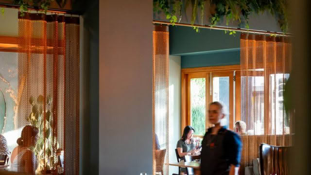 Palate-24-277.jpg