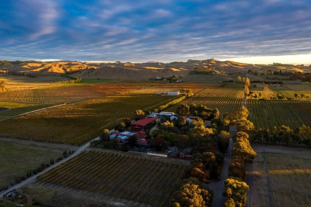 Vineyard-Arial-Richard-Brimmer-2024.jpg